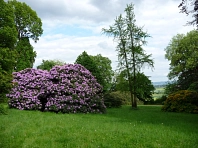 Ohrbergpark.jpg © Gemeinde Emmerthal